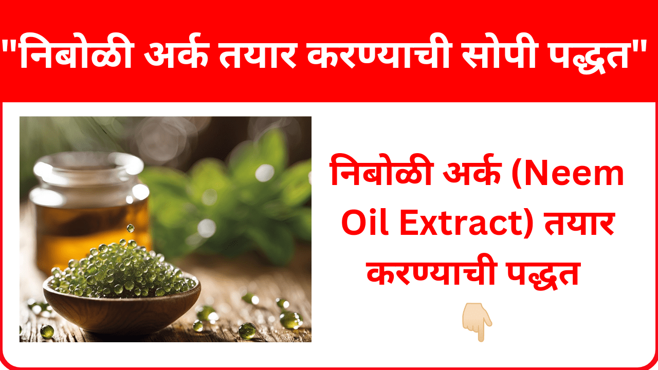 निबोळी अर्क (Neem Oil Extract) तयार करण्यासाठी खालीलप्रमाणे सोपी प्रक्रिया वापरता येते. हा अर्क वनस्पतींच्या संरक्षणासाठी, त्वचेच्या समस्यांसाठी, किंवा नैसर्गिक कीटकनाशक म्हणून उपयोगी ठरतो.