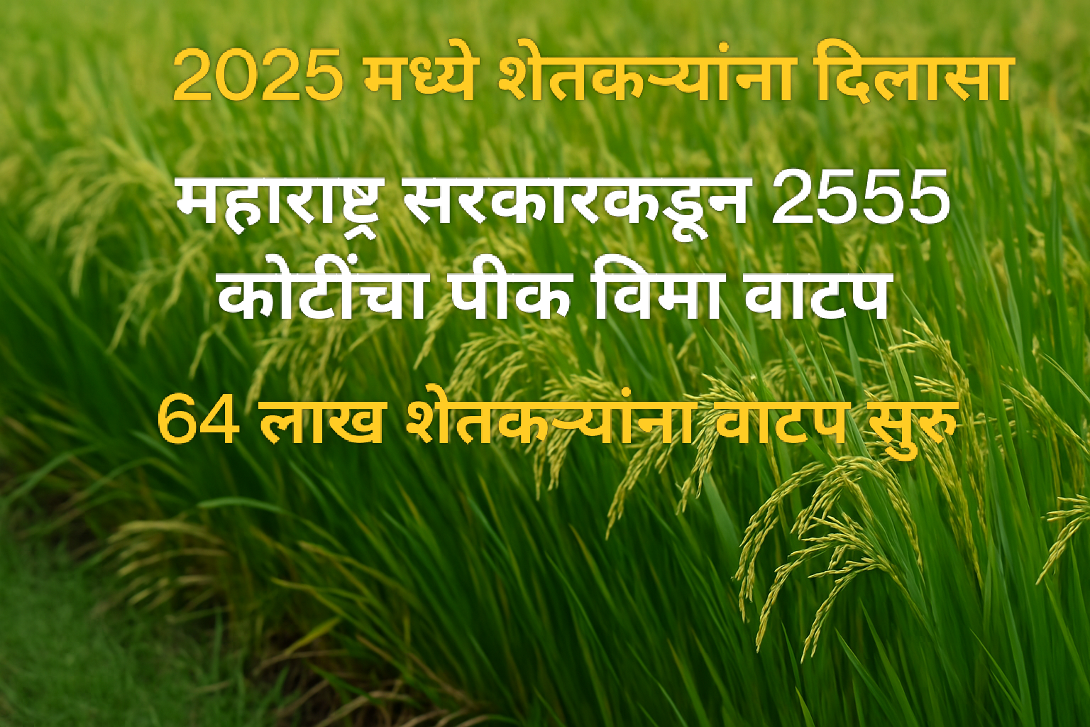 पीक विमा वाटप 2025 महाराष्ट्र – शेतकऱ्यांना आर्थिक मदत