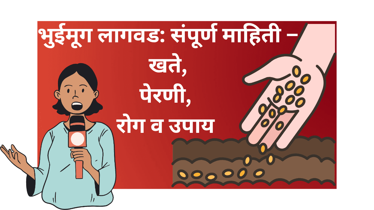 भुईमूग माहिती महाराष्ट्रवाणी
