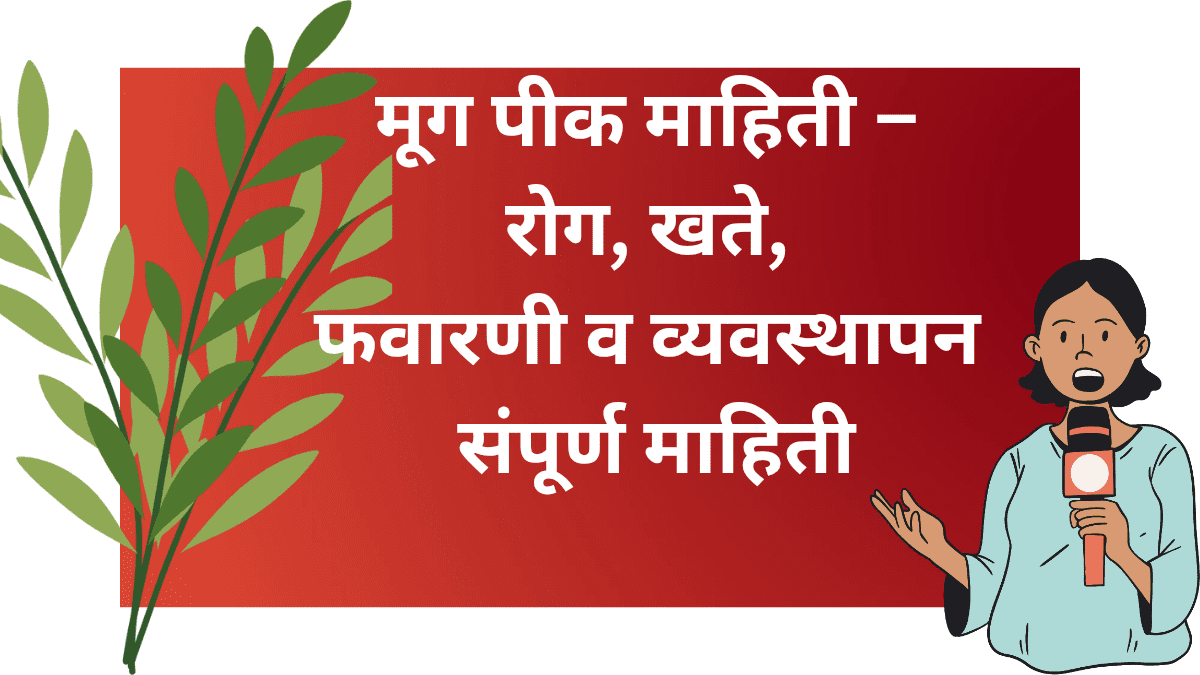 मूग पीक लागवड व व्यवस्थापन
