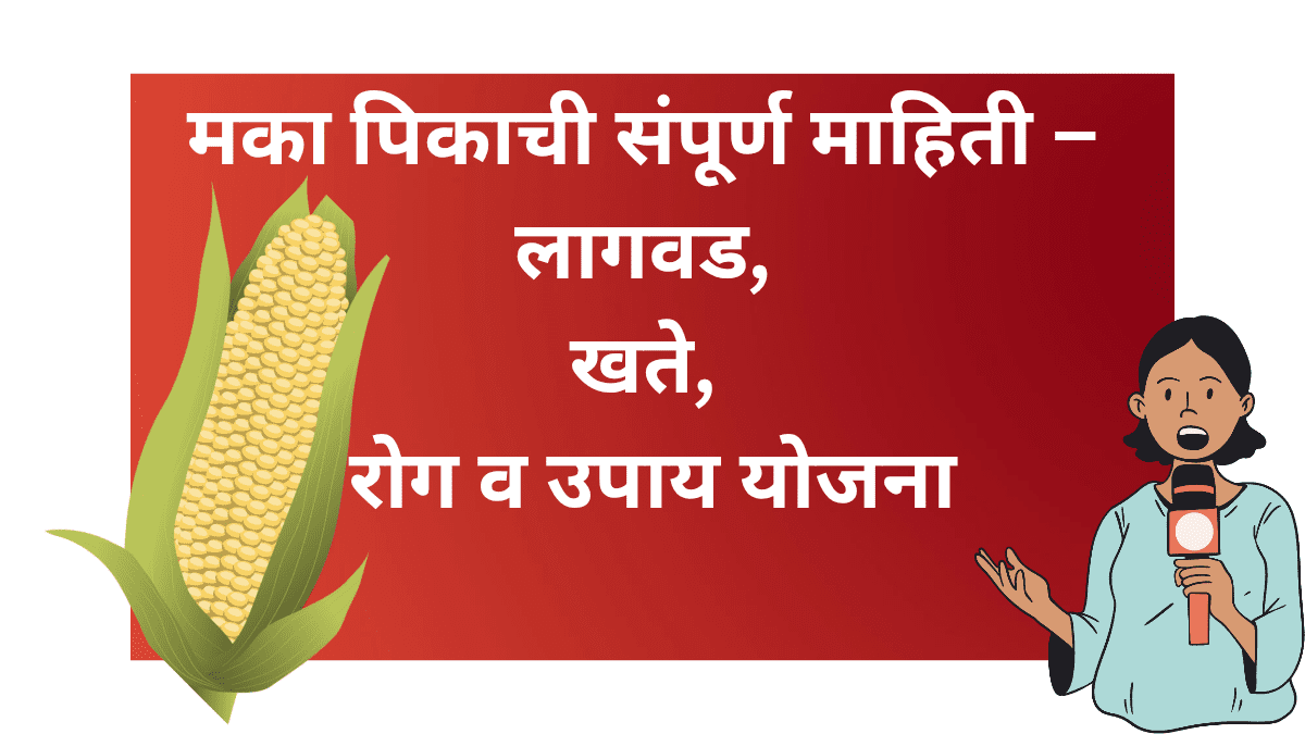मका लागवड करत असलेला शेतकरी
