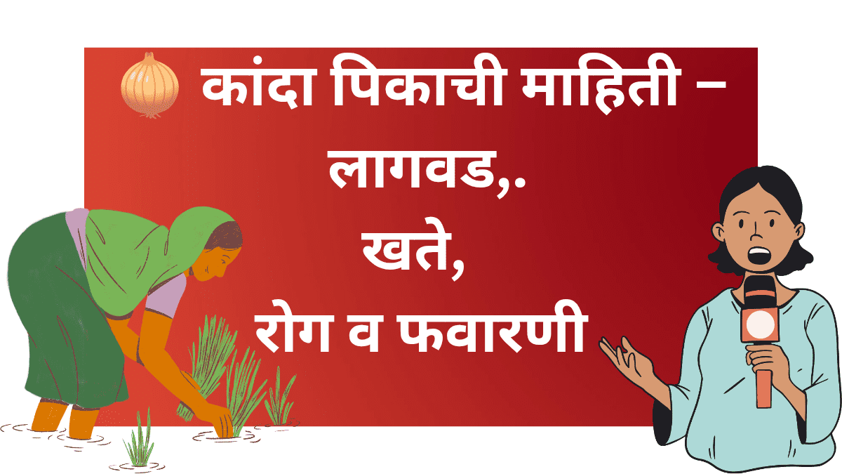 कांदा पिक लागवड प्रक्रिया